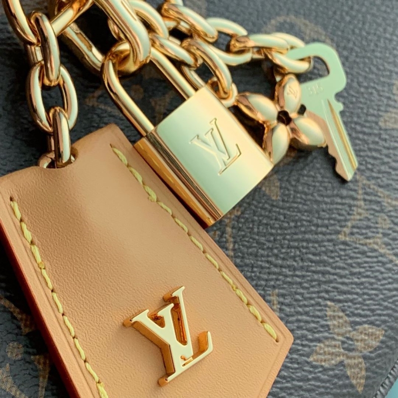 LV Satchel bags